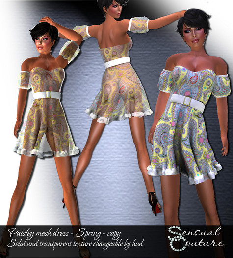Paisley mesh dress *spring*