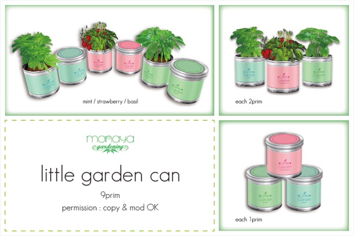 [monaya G] little garden can
