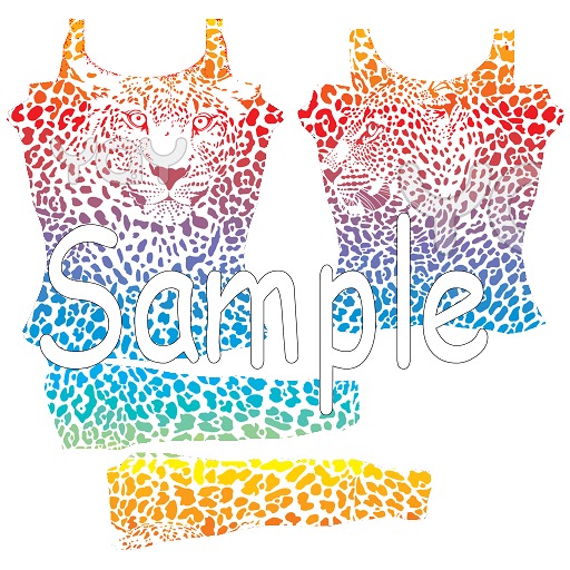 Rainbow Leopard Top