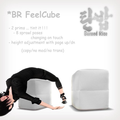*BR Burned Rice_FeelCube (Boxed)