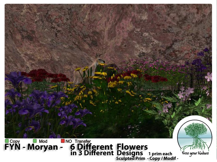 Box FYN - Moryan - Flowers