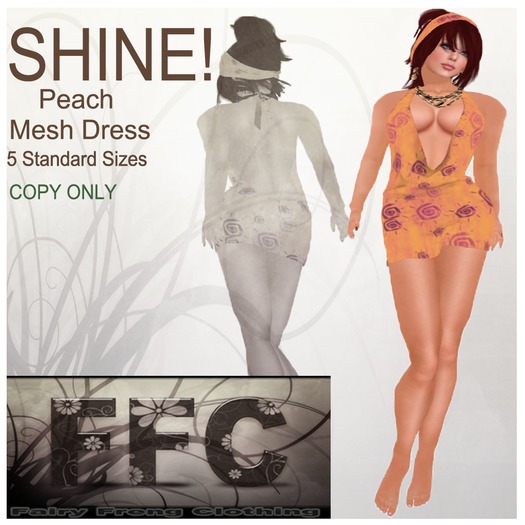 SHINE! Peach Mesh Dress