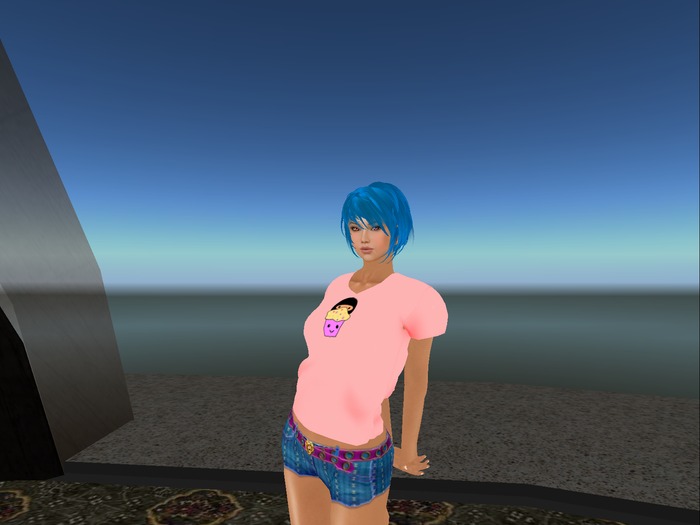 *reduced* Cupcakes Are Ninja Fuel Pink Mesh T