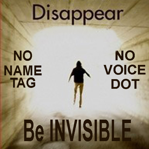 Be Invisible HUD - No name tag - No voice dot