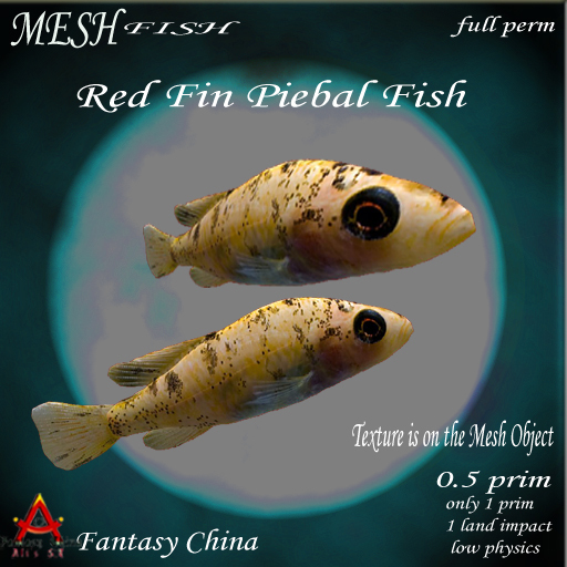 MESH Red Fin Piebal Fish