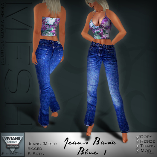 VF MESH Jeans Basic Blue1