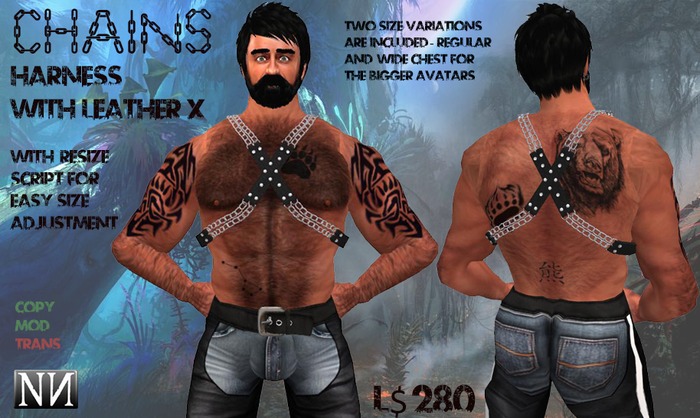 Chains: Harness with Carabiner Style 1