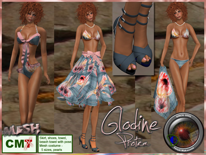 **GD** Glodine (Protea) (Boxed)