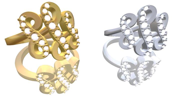 ..::P&W::.. ( FULL PERM Builder Kit ) Cap Rings