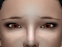 Doll Eyes Collection Brown