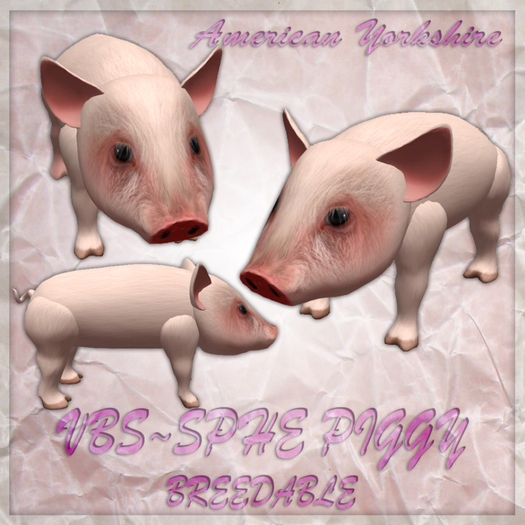 VBS`Piggies v2.1 [American Yorkshire] MaxiPack (Breedable)(2012)