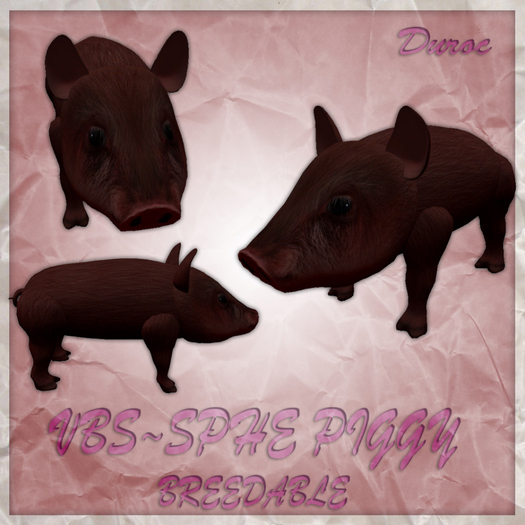 VBS`Piggies v2.1 [Duroc Start] MaxiPack (Breedable)(2012)