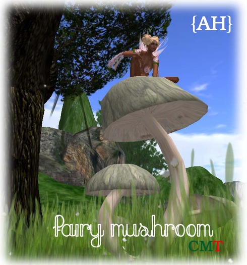 {AH} Fairy Mushroom