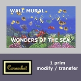 Wall mural Wonders of the sea