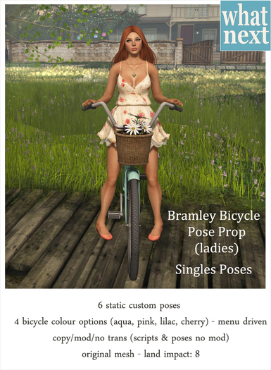 {what next} Bramley Bicycle Pose Prop Singles