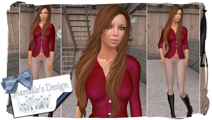 ~*~Shar's Body shop~*~Jockey shape