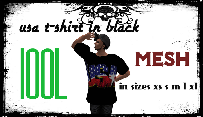 usa black tee1 male  MESH BOXED 