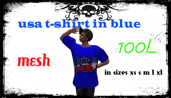 usa blue tee1 male  MESH BOXED 
