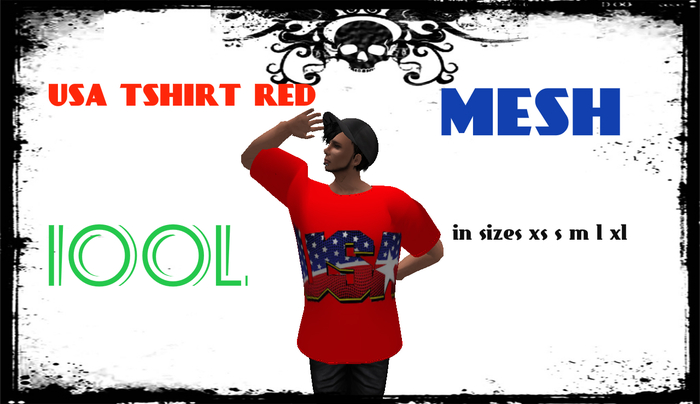 usa red tee male MESH BOXED 