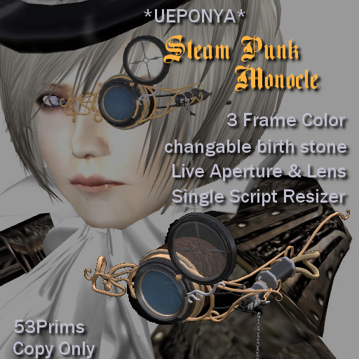*UEPONYA* Steam Punk Monocle Box 