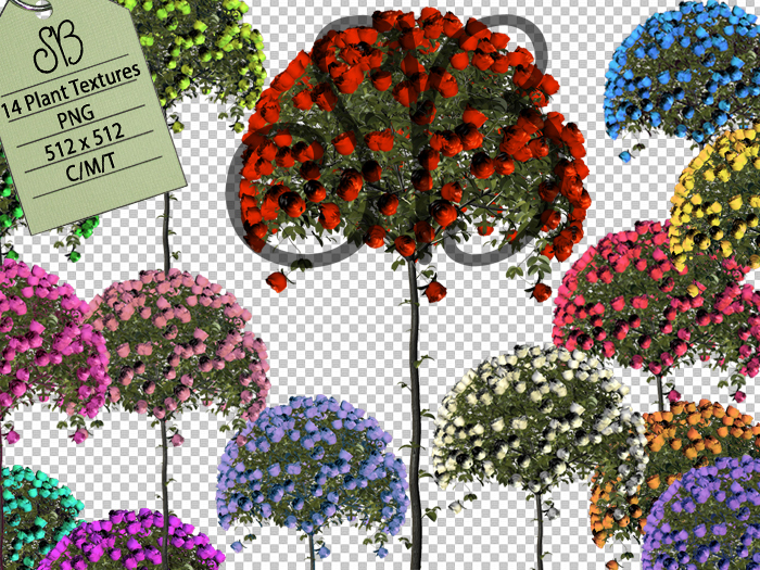 SB 14 ROSE TREE TEXTURES