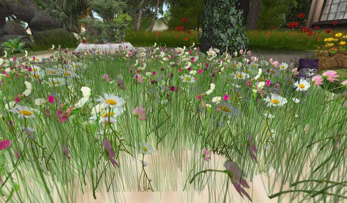 CJ Field round - lovely wild Flowers - c + m -