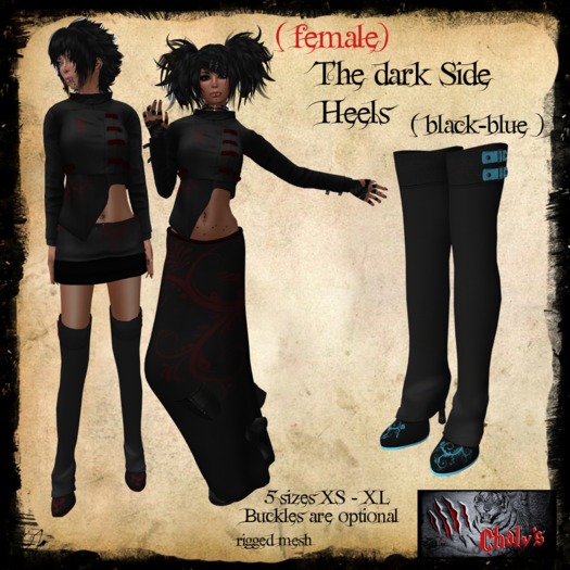 :: Chaly's :: The dark Side Skirt  (female)