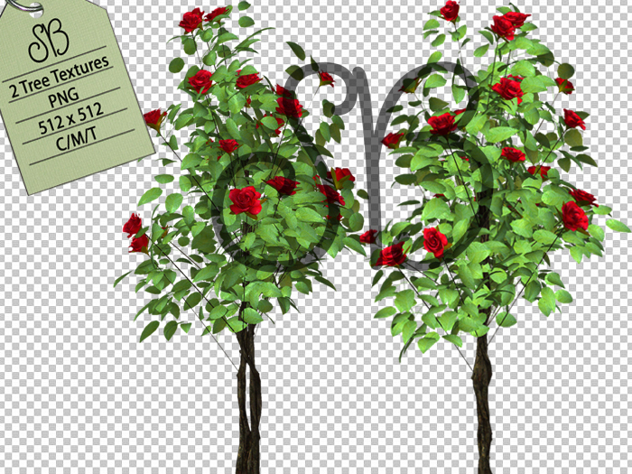 SB 2 RED ROSE TREE TEXTURES
