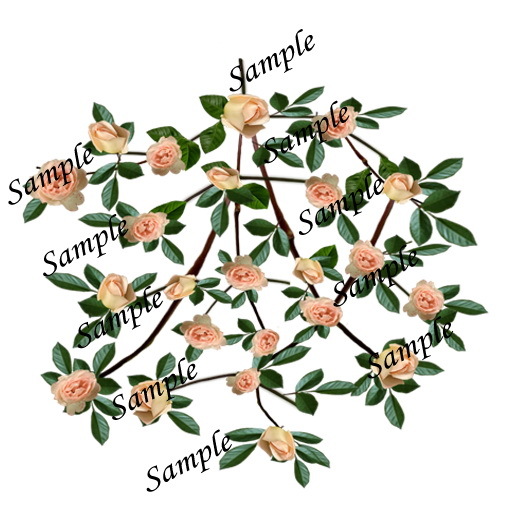 Rose Clair vines texture 