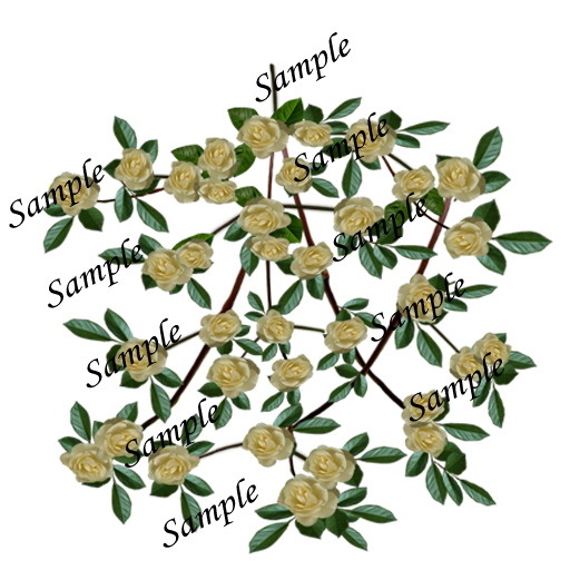 Rosa Diamond Border vines texture 