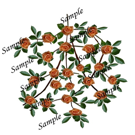 Rosa Matawhero Magic vines texture