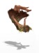 Ga flying fairy ao sample 5 %28768x1024%29