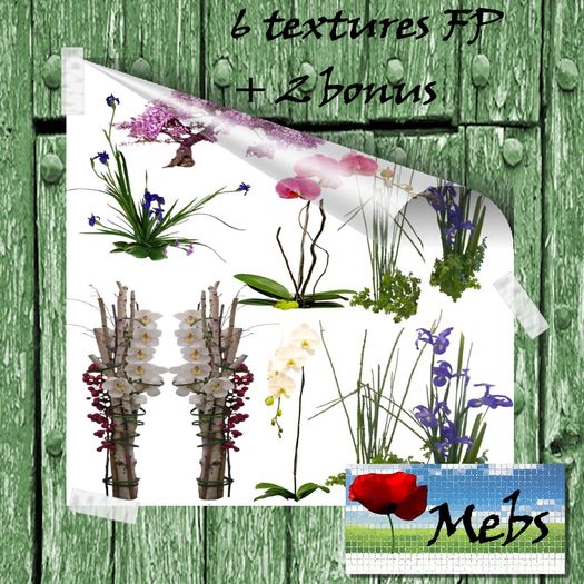 Texure Pack houseplants