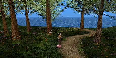 Second Life Path Second Life Marketplace - ! SR - Butterfly Path