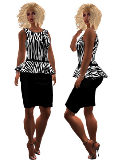 Zebra Mesh Outfit 