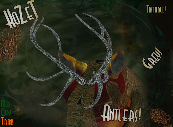 <K> Antlerz! Gray