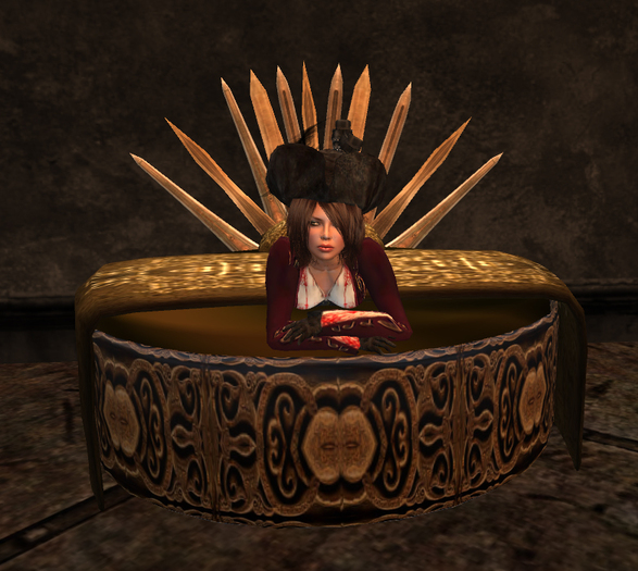 -SWD- Sword Bed