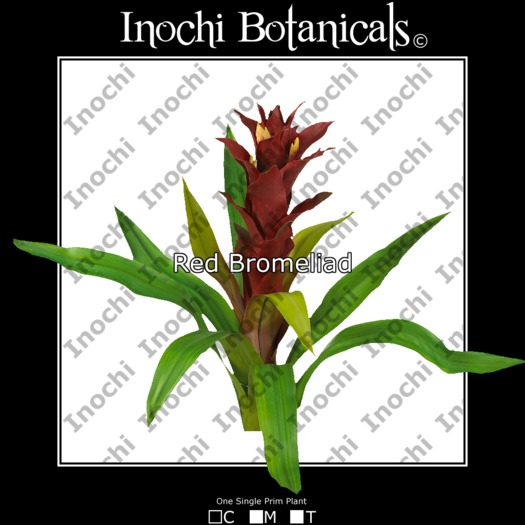 Inochi Botanicals - Bromeliad Red