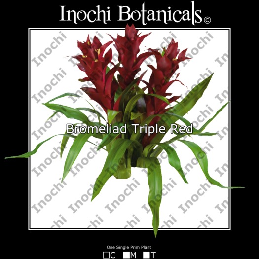 Inochi Botanicals - 