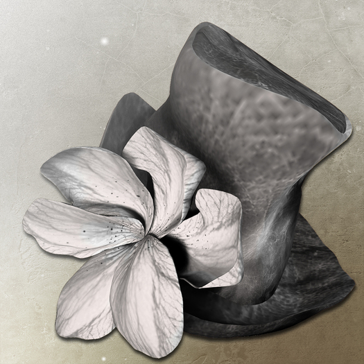 *LODE* Hat - Magnoli [black]