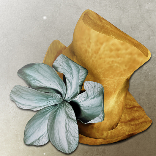 *LODE* Hat - Magnoli [yellow]