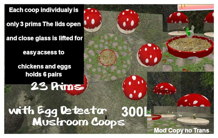 Mushroom Coop Set  box