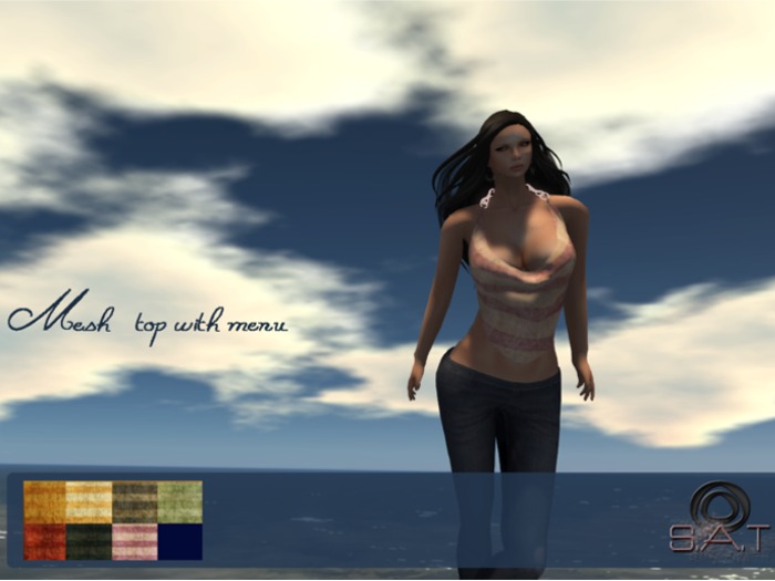 [.:Sat:.] Designs  Mesh  top with menu