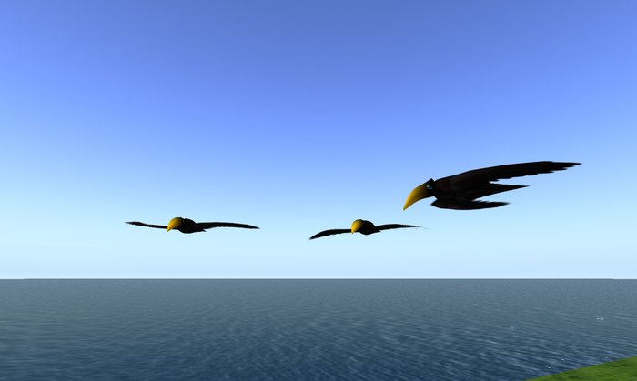 Flying Toucan Spawner!