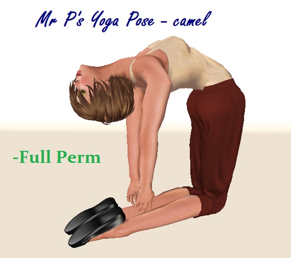 "Yoga Pose - camel"