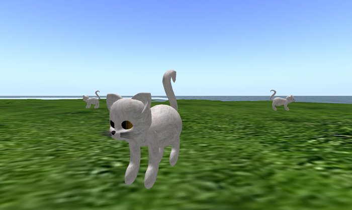 Wandering White Kitten Spawner!