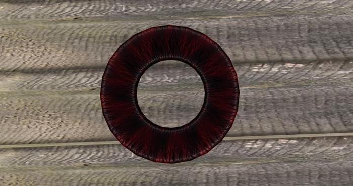 Red/Black Floatie Tube