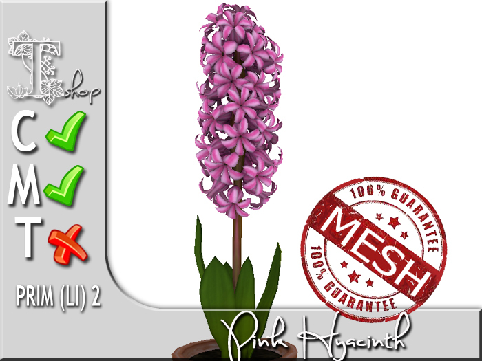 Terrashop- Light Pink Hyacinth MC