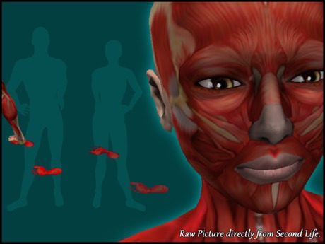 Flayed Lord Body Second Life Marketplace - Flayed Body - DEMO