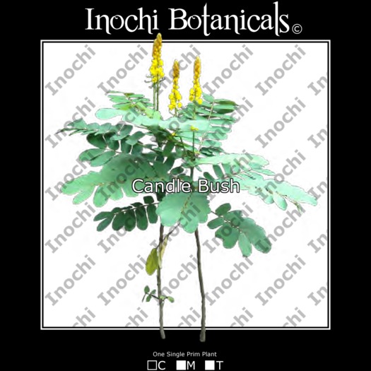 Inochi Botanicals - 